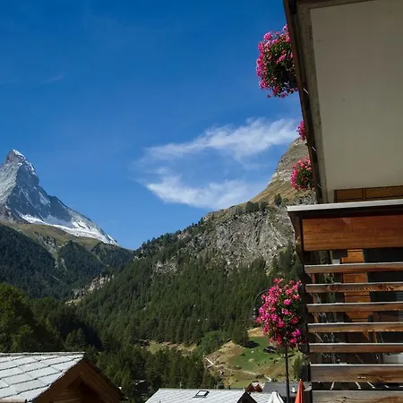 Herbi * Zermatt